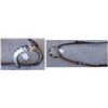 Image 5 : Silver Horse Bridle