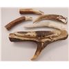 Image 1 : Antler Carvings Collection