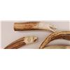 Image 2 : Antler Carvings Collection