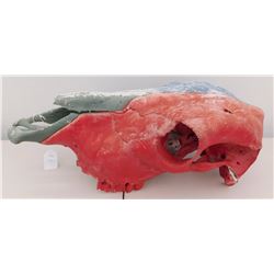 Painted Skull Trail Marker