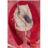 Image 8 : Hide Dance Shield