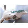 Image 10 : Steer Skull w/Turquoise