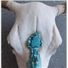 Image 5 : Steer Skull w/Turquoise