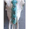 Image 6 : Steer Skull w/Turquoise