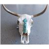 Image 7 : Steer Skull w/Turquoise