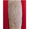 Image 8 : Flint Collection