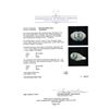 Image 5 : Pearl and Diamond Ring - 14KT White Gold