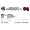 Image 2 : 9.7 ctw Oval Mixed Ruby Parcel