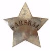 Image 1 : Early Marshall's Badge