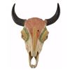 Image 1 : Native American Painted Buffalo Skull