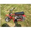 Image 2 : Yukon Trail mini bike