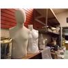 Image 1 : MANNIQUIN BUSTS - 3 TTL