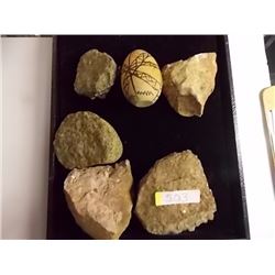 COLLECTORS ROCKS & WOOD EGG - 6 pc TTL