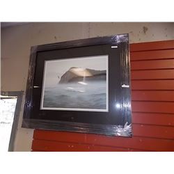 FRAMED LIMITED EDITION PRINT - SPIRIT OF HAIDA GWAII - C MacCLUE - ESTIMATED GALLERY PRICE $550