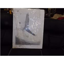 SIGNED EAGLE PRINT - as-is