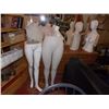 Image 1 : MANNEQUIN WAIST TO TOES