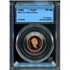 Image 1 : 1995 1¢, CCCS PF-69 Red Ultra Heavy Cameo.