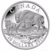 Image 1 : RCM Lot; includes 2014 $20 Fine Silver Coin The Bison-A Family at Rest.