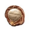 Image 5 : Judith Leiber Hiding Monkey Swarovksi Crystal Minaudiere