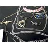 Image 2 : MISC. JEWELRY