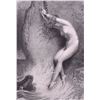 Image 2 : "Andromeda chained to the rock" Signed by Gustave
