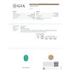 Image 7 : GIA Cert 8.58 ctw Emerald and Diamond Ring - 14KT White Gold