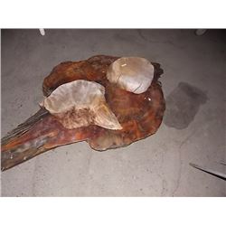 BURL SECTIONS - 3 TTL