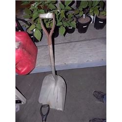 SCRAPPER SHOVEL - D-HANDLE