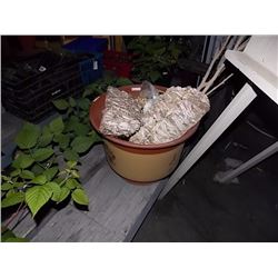 'PLANT POT & CONTENTS