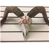 Image 1 : Painted Rams Skull
