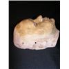 Image 3 : Tim Robbins Special Effects Make-Up  Life Cast