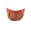 Image 1 : Underworld: Awakening Human-Lycan Fangs Movie Props