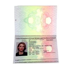 The Age of Adaline Ellis Jones (Michiel Huisman) Passport Movie Props