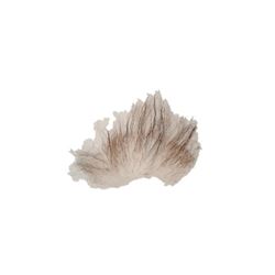 Awakening: Jacob (Stephen Rea) SFX Hair Pieces Movie Props