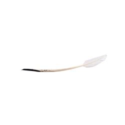 Tulip Fever Screen Used Quill Movie Props