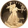 Image 1 : 1995-W $50 Gold Eagle. One Ounce. Proof-69 DCAM PCGS.