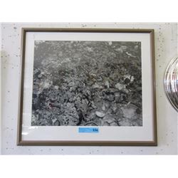 Signed Limited Edition Print