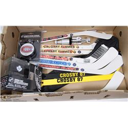 LOT OF NHL COLLECTOR MINI STICKS  PLUS
