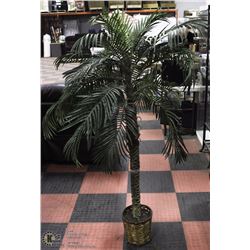 PALM TREE IN WICKER POT 6'