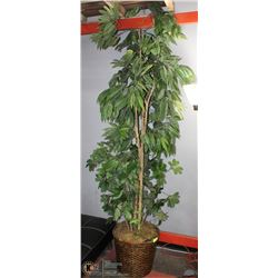 ARTIFICIAL FICUS PLANT 10'