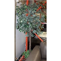 2-TONED GREEN FICUS TREE WITH VINE WICKER BASKET