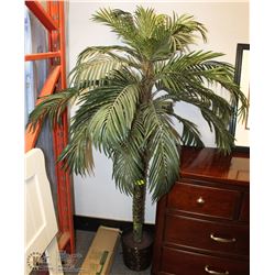 PALM TREE IN ROUND WICKER BASKET 6'