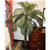 Image 1 : PALM TREE IN ROUND WICKER BASKET 6'