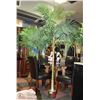 Image 1 : PALM TREE 8' IN ROUND RED POT