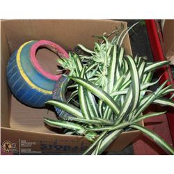 BOX WITH SPIDERPLANT, URNS AND MEXICAN POTS