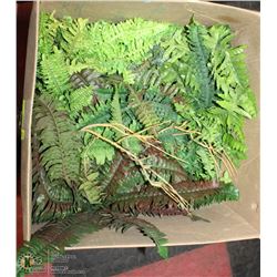 BOX OF ARTIFICIAL FERNS