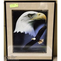 EAGLE PICTURE 16":X20"