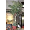 Image 1 : 3 STEMMED PALM TREE 7" HIGH