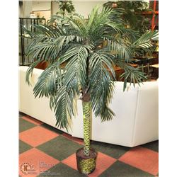 PALM TREE IN WICKER BASKET 6'