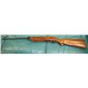 Image 1 : PELLET RIFLE